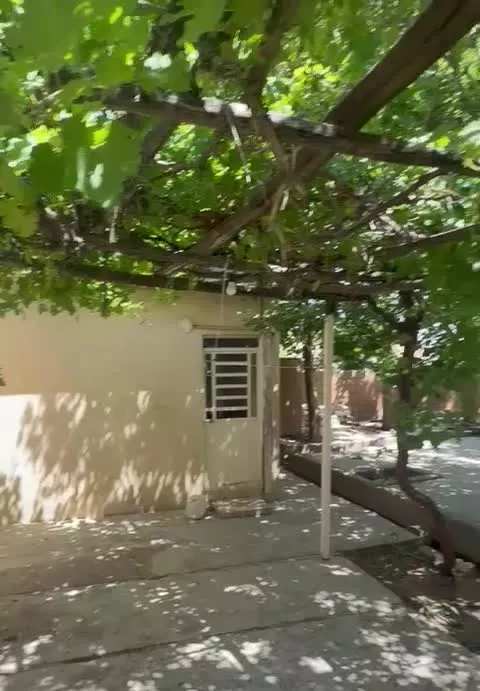 فروش باغویلا  بزین تپه