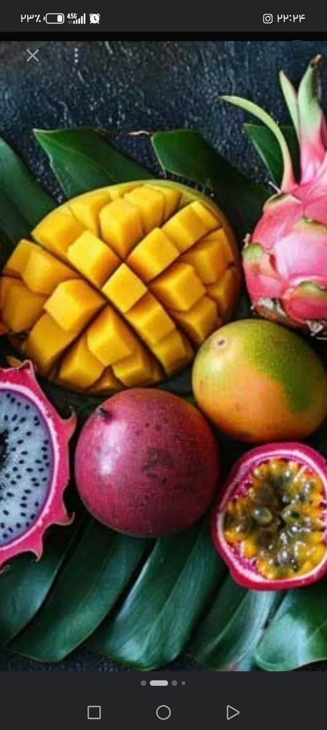 واگذاری غرفه میوه فروشی فعال