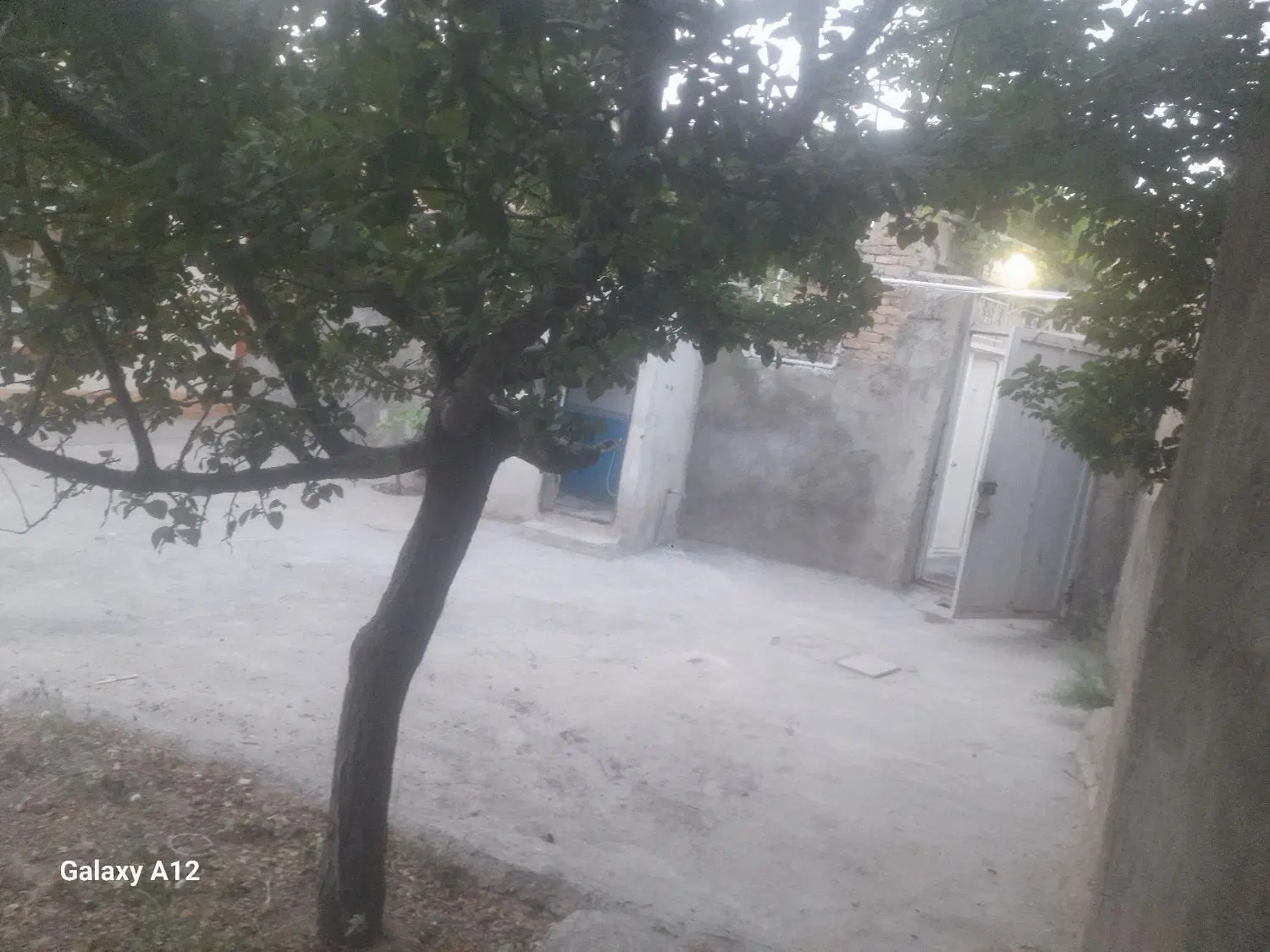 حیاط ۱۹۵مترواقع در خیابان ولیعصر بن بست اذربار