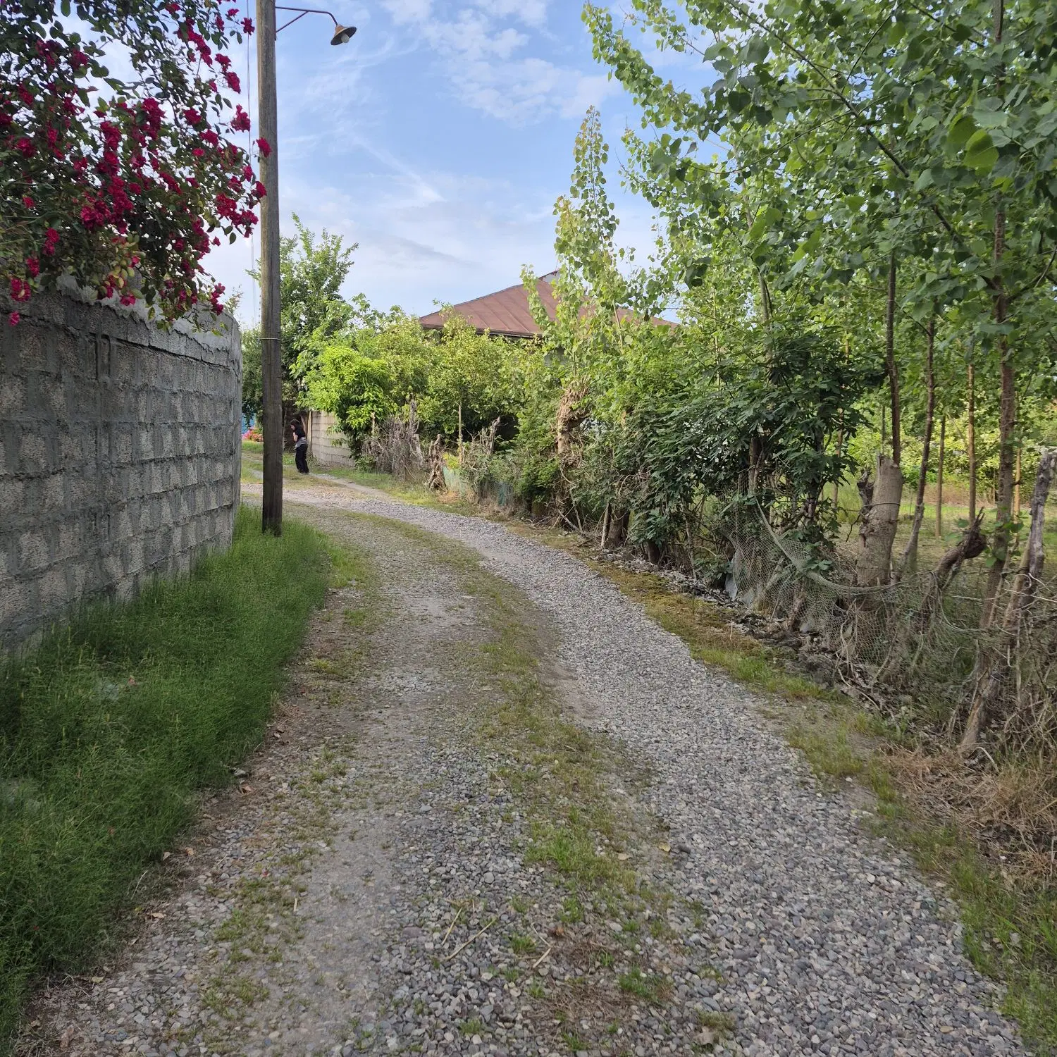 زمین مسکونی روستای ساحلی ۲۳۶ متر