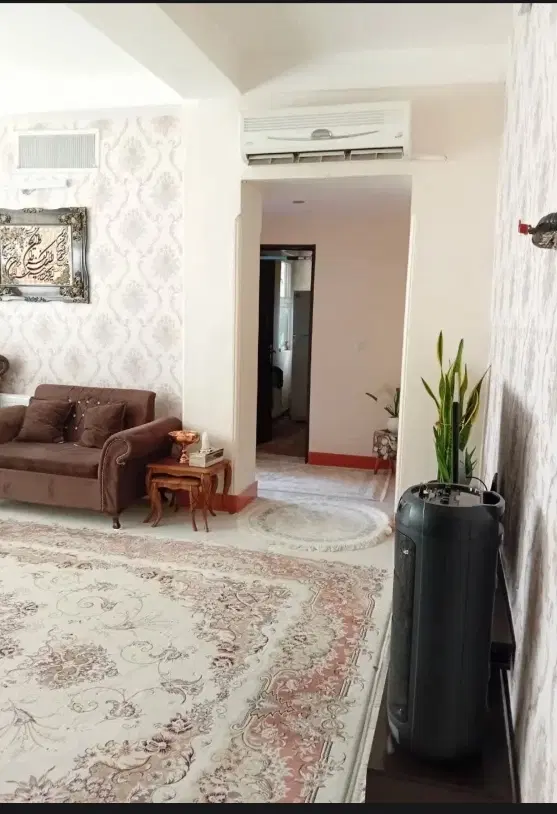 همخونه خانم