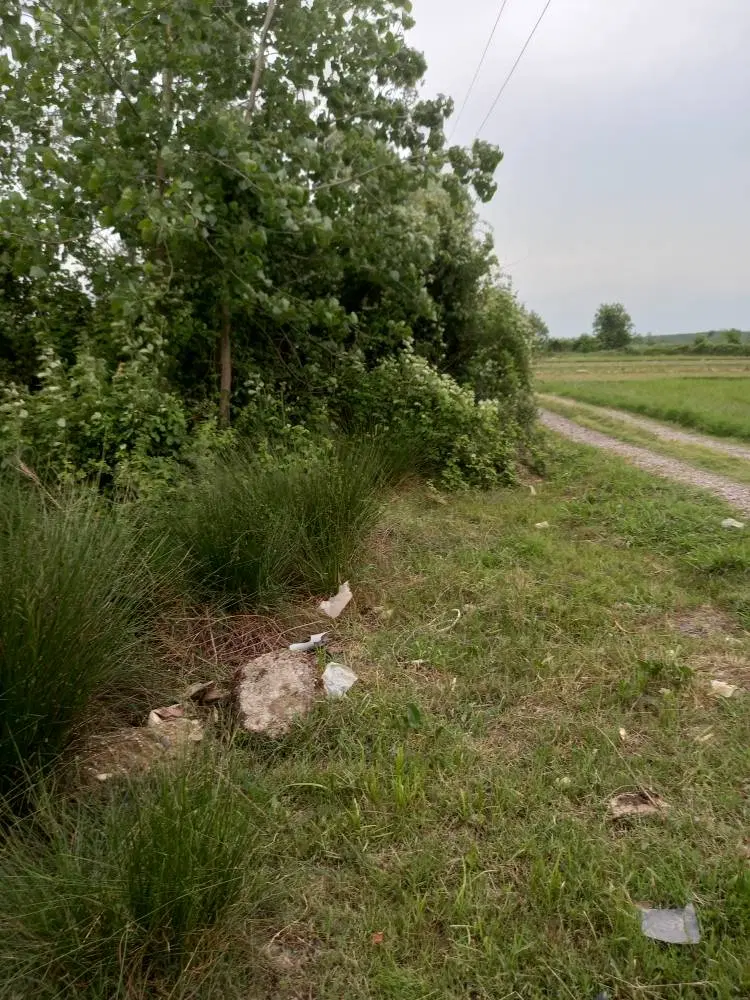 زمین روستایی خوش آب و هوا وبکر