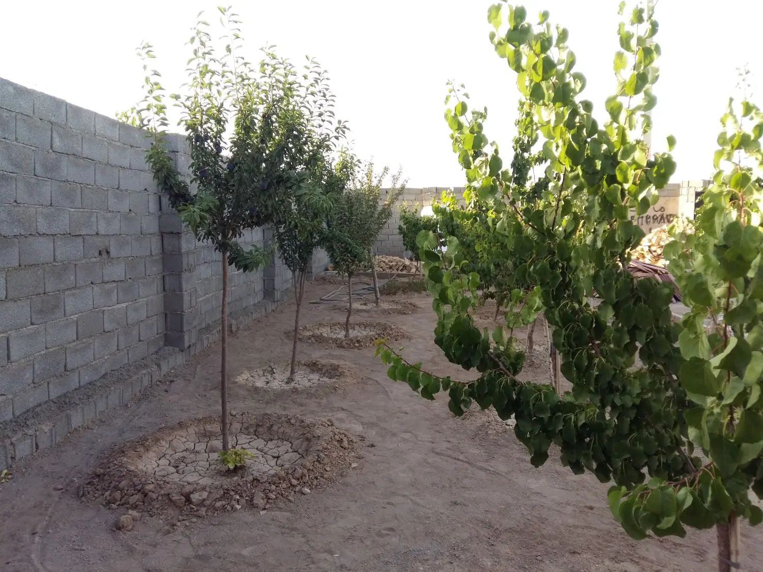 فرصت استثنایی خرید باغچه ۳۰۱ متری در شهرک زعفرانیه