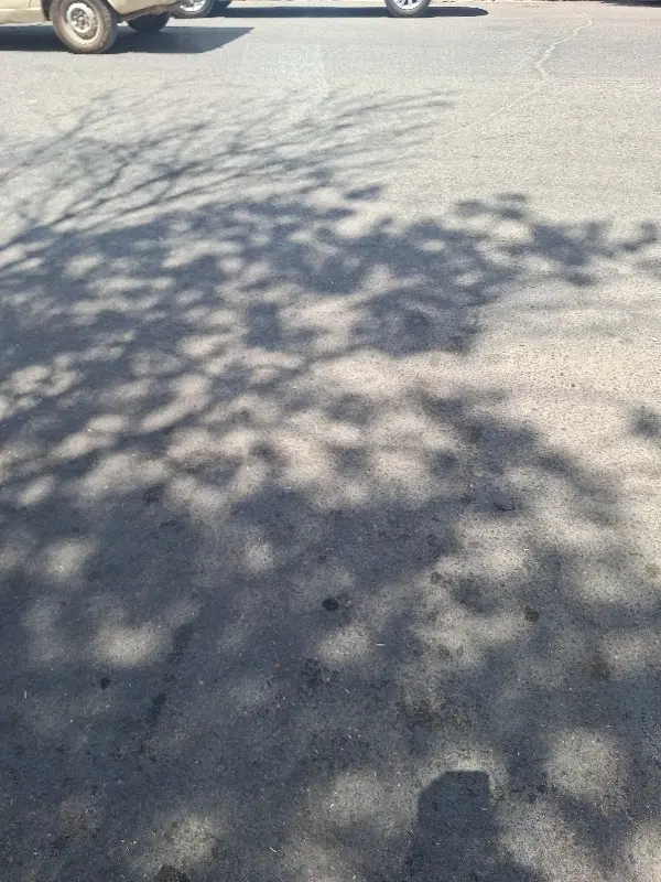 ارامستان سرخدم لکی با پارکینگ اختصاصی