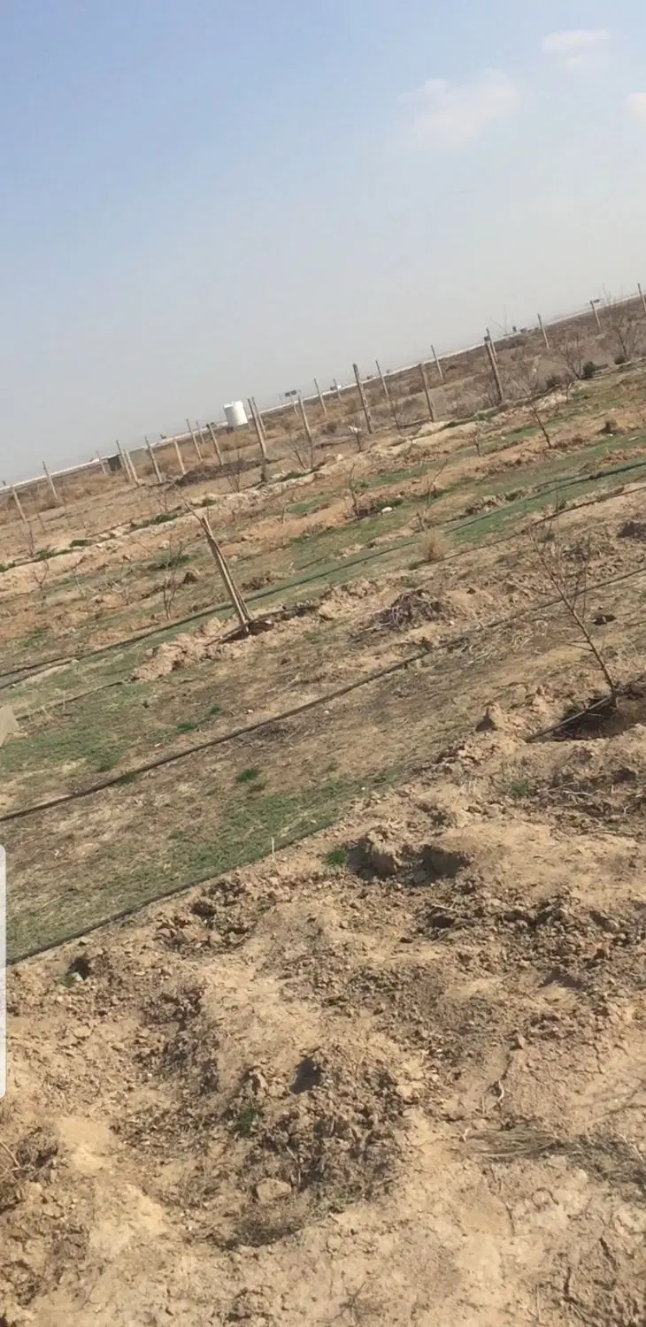 ۲۵۰ متر زمین سمت تالاب صالحیه نظر اباد