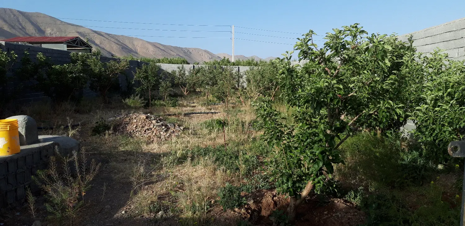زمین باغی در جابان