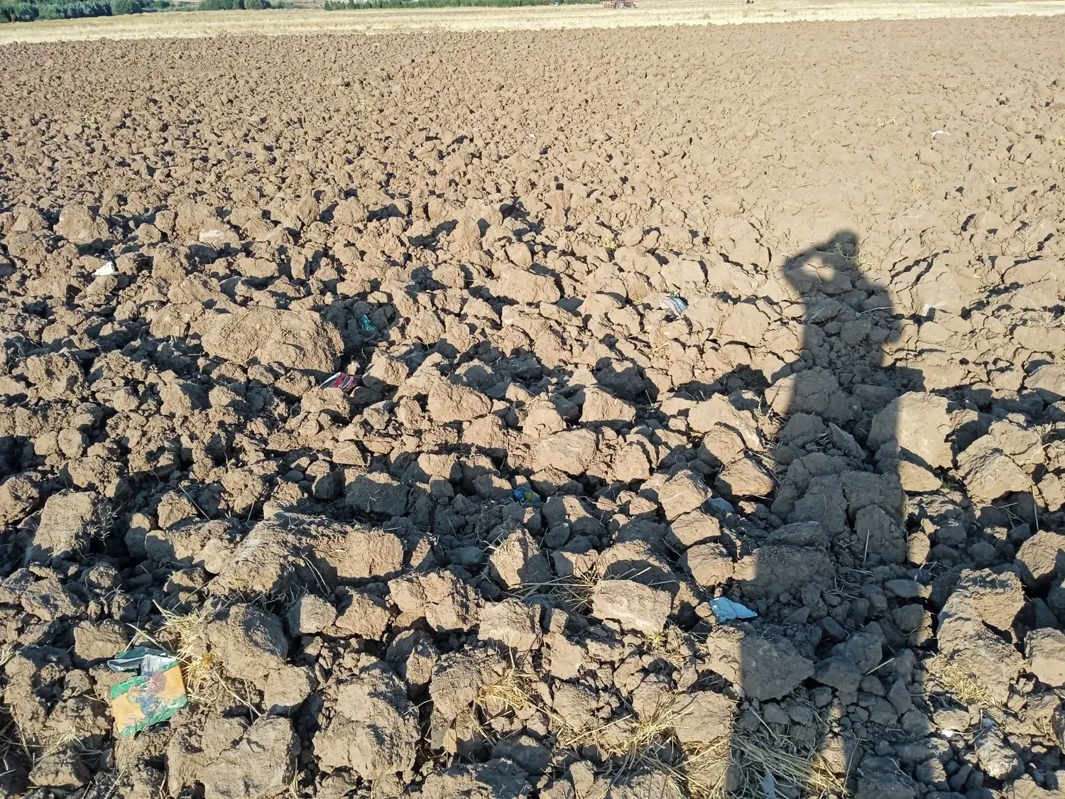 زمین کشاورزی واسه اجاره