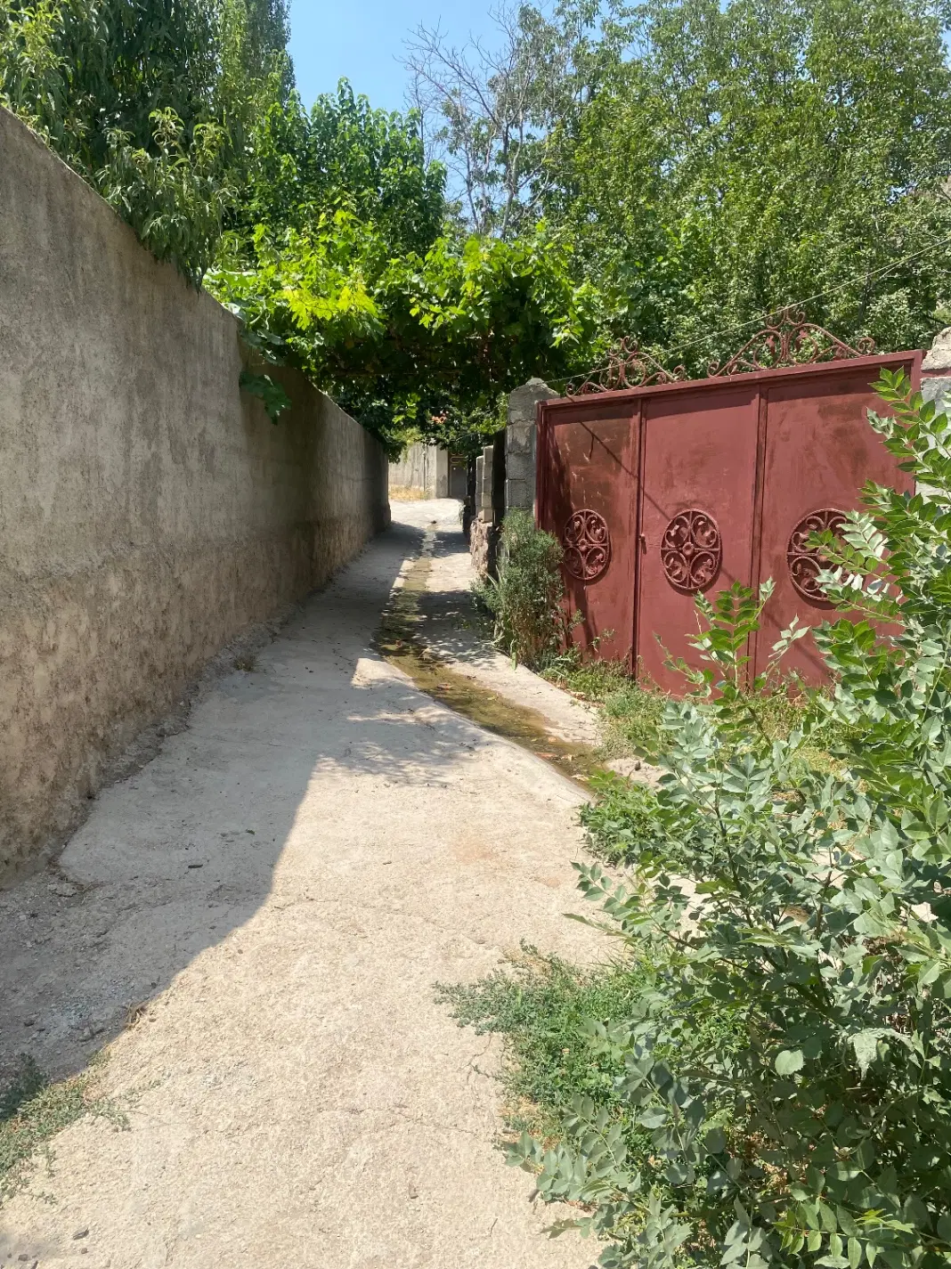 فروش باغ ۱۲۰۰ متری با جند اصله درخت گردو