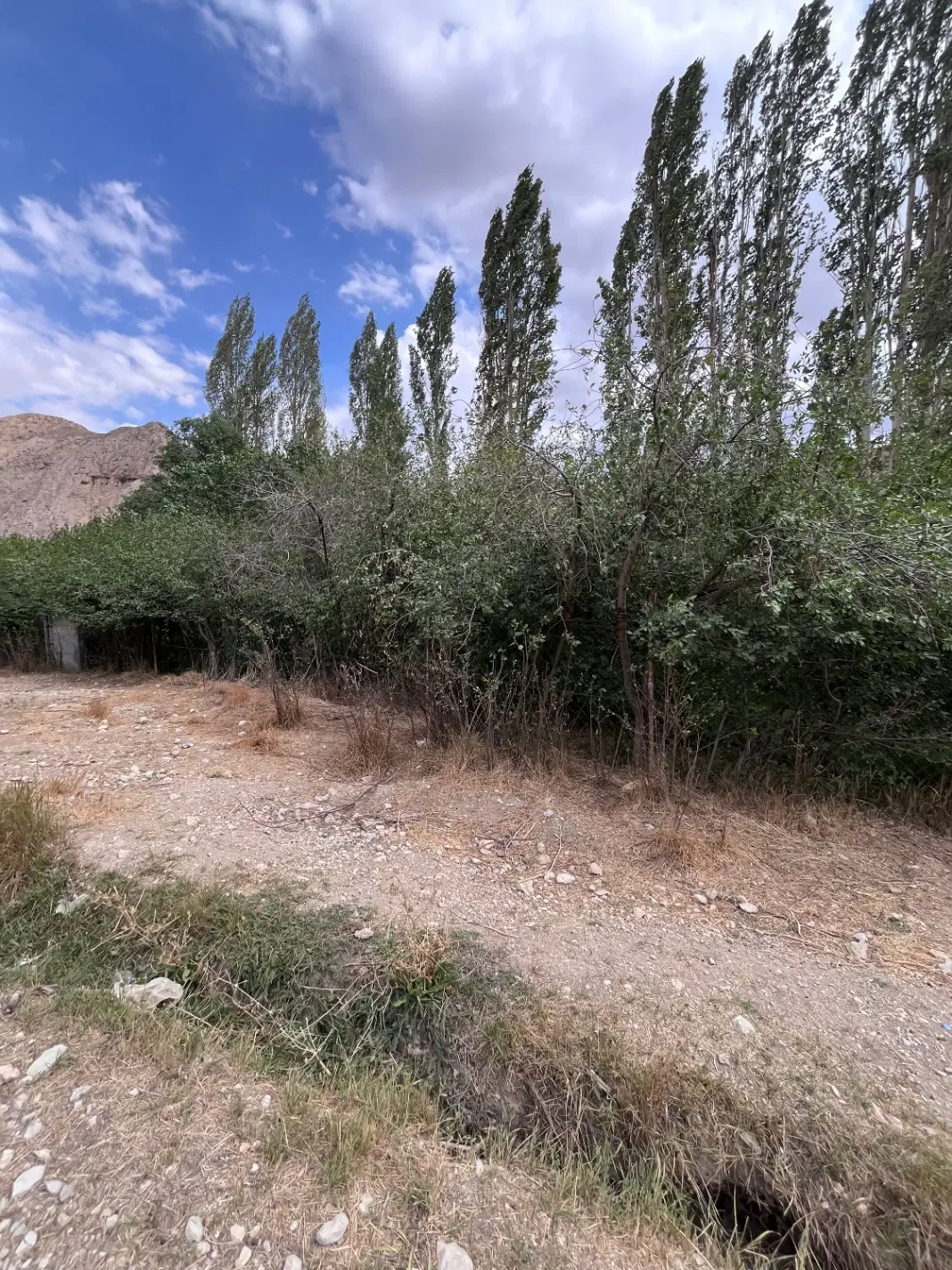 باغ خوش بر روستای سرخدشت با امکانات