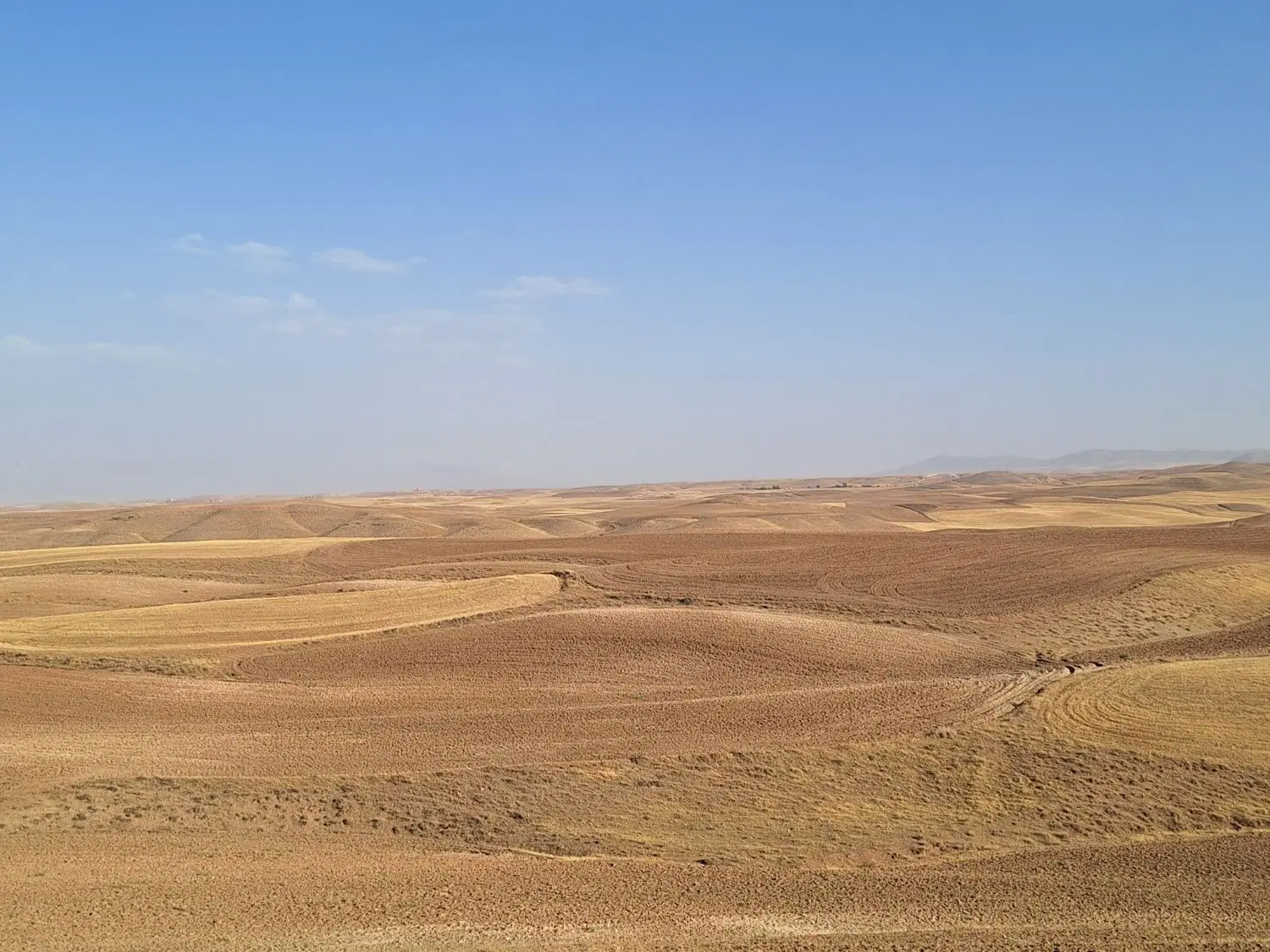 زمین کشاورزی