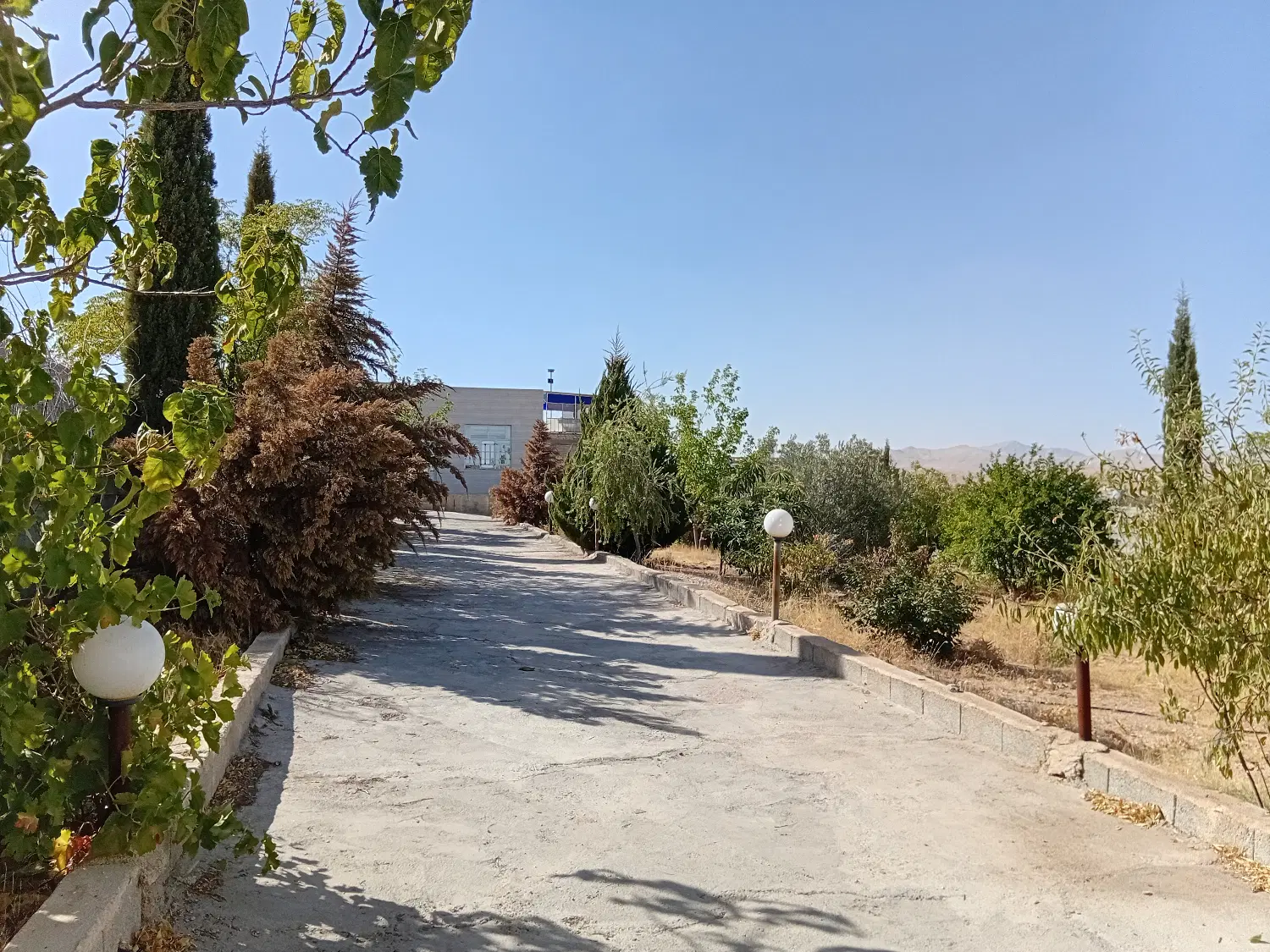 باغ خالد اباد