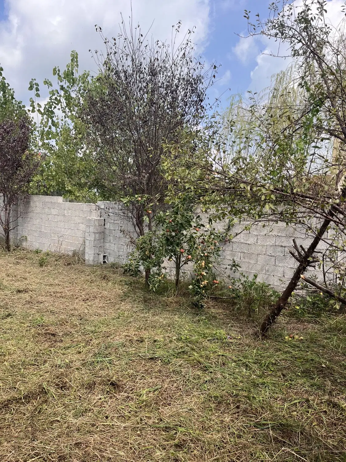 زمین مسکونی شهری در تولم شهر