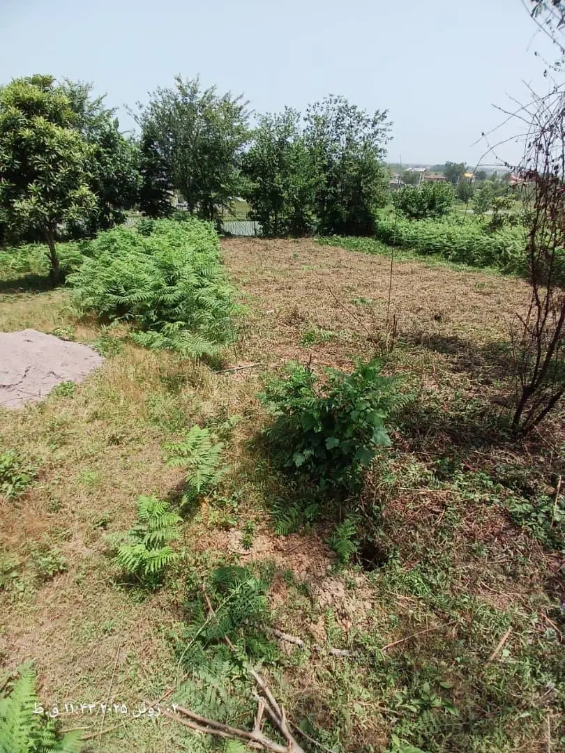 زمین باغی در شمال