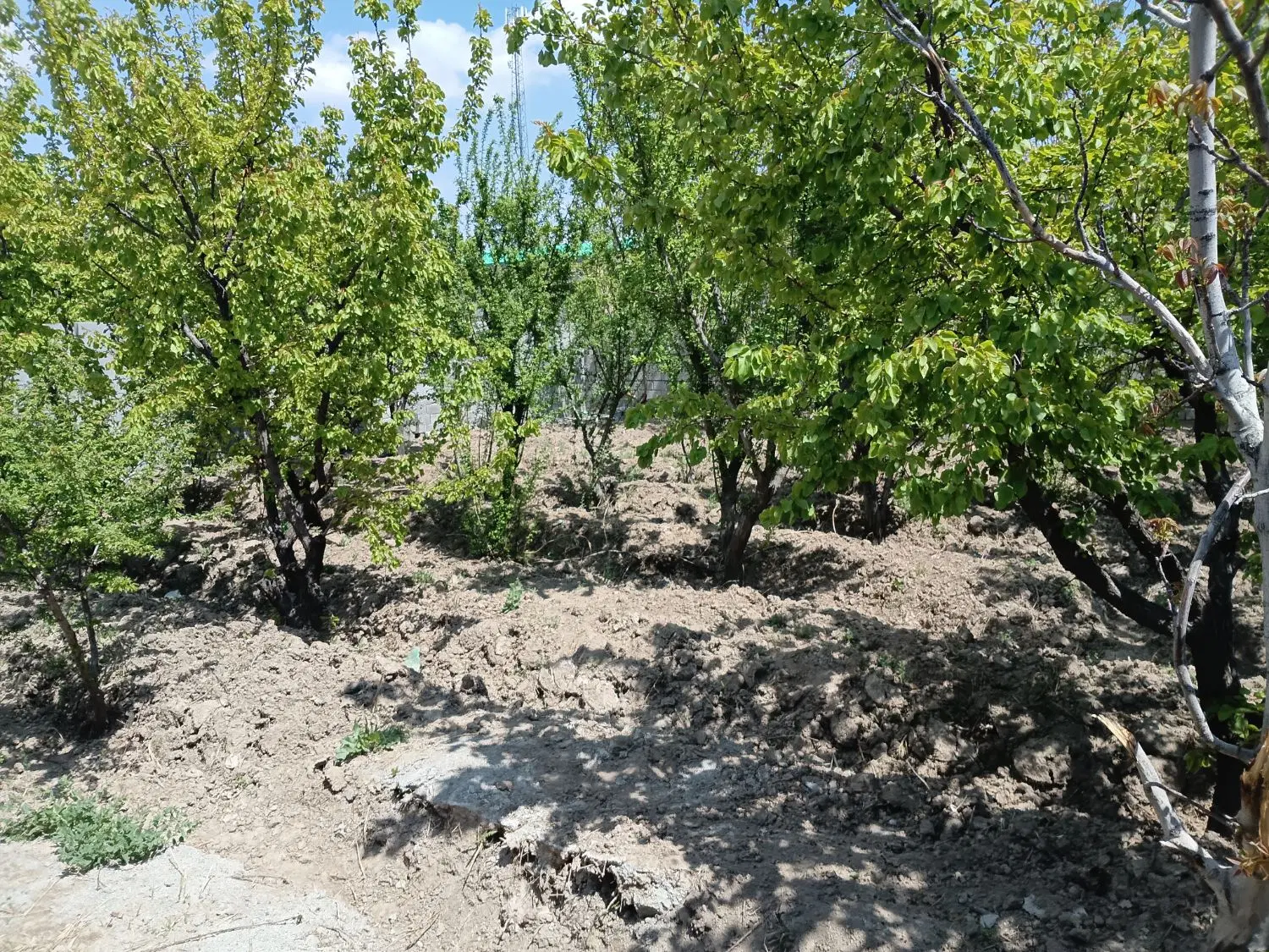 باغچه اماده ساخت خیابان برند
