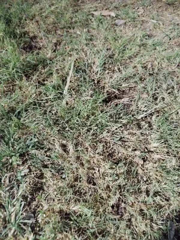 زمین مسکونی ۲۰۰۰متر