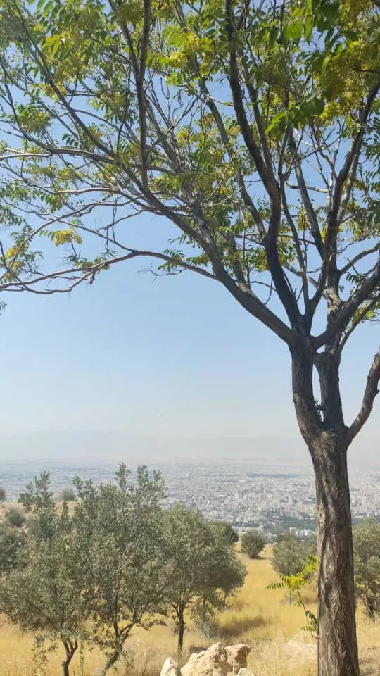 فروش زمین صدرذ فاز دو  اموزش پرورش