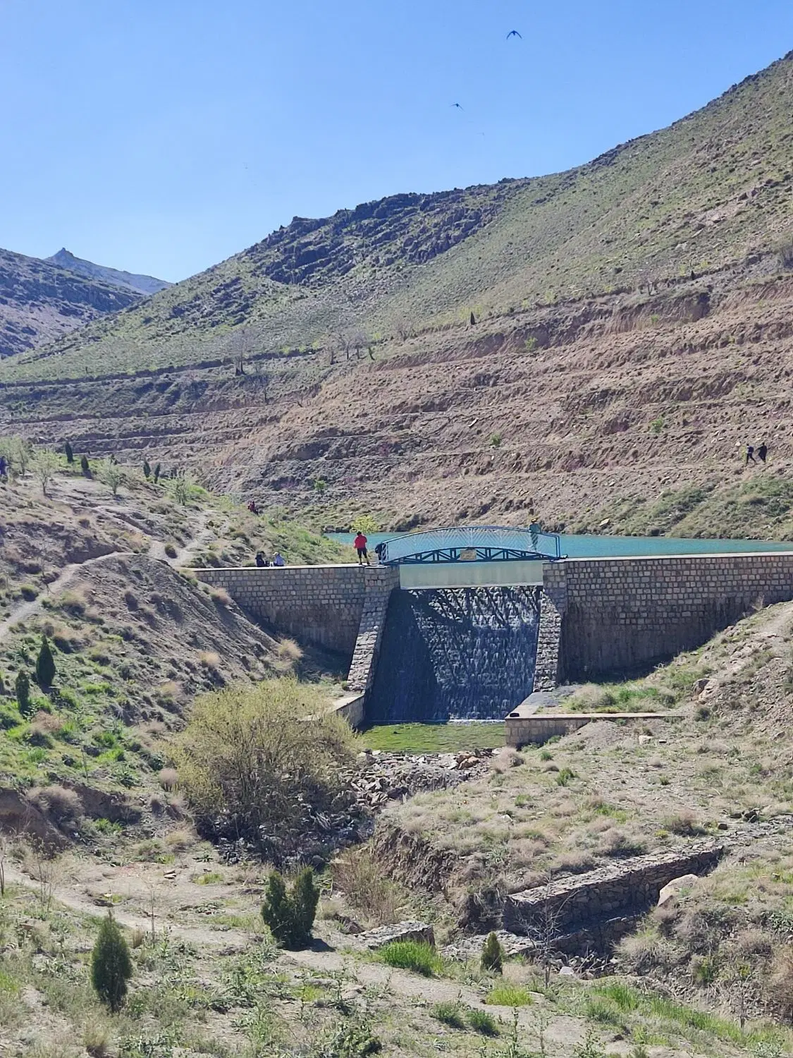 ۸۵۰ متر زمین در خیابان ۱۶ متری