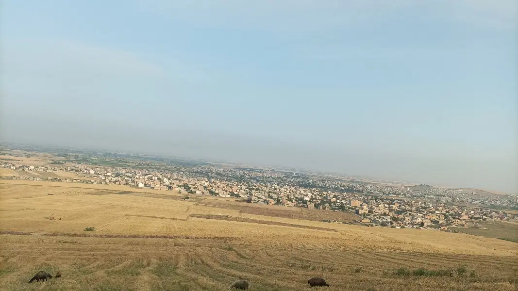 زمین مسکونی