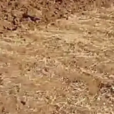 زمین‌کشاوزی سه هزار متر