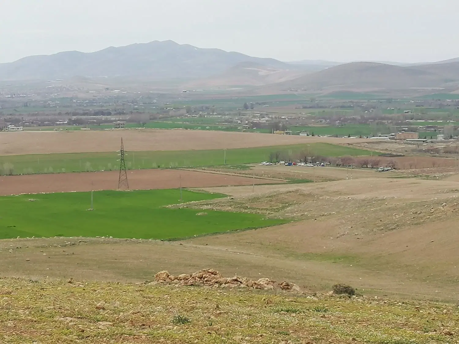 اجاره زمین کشاورزی