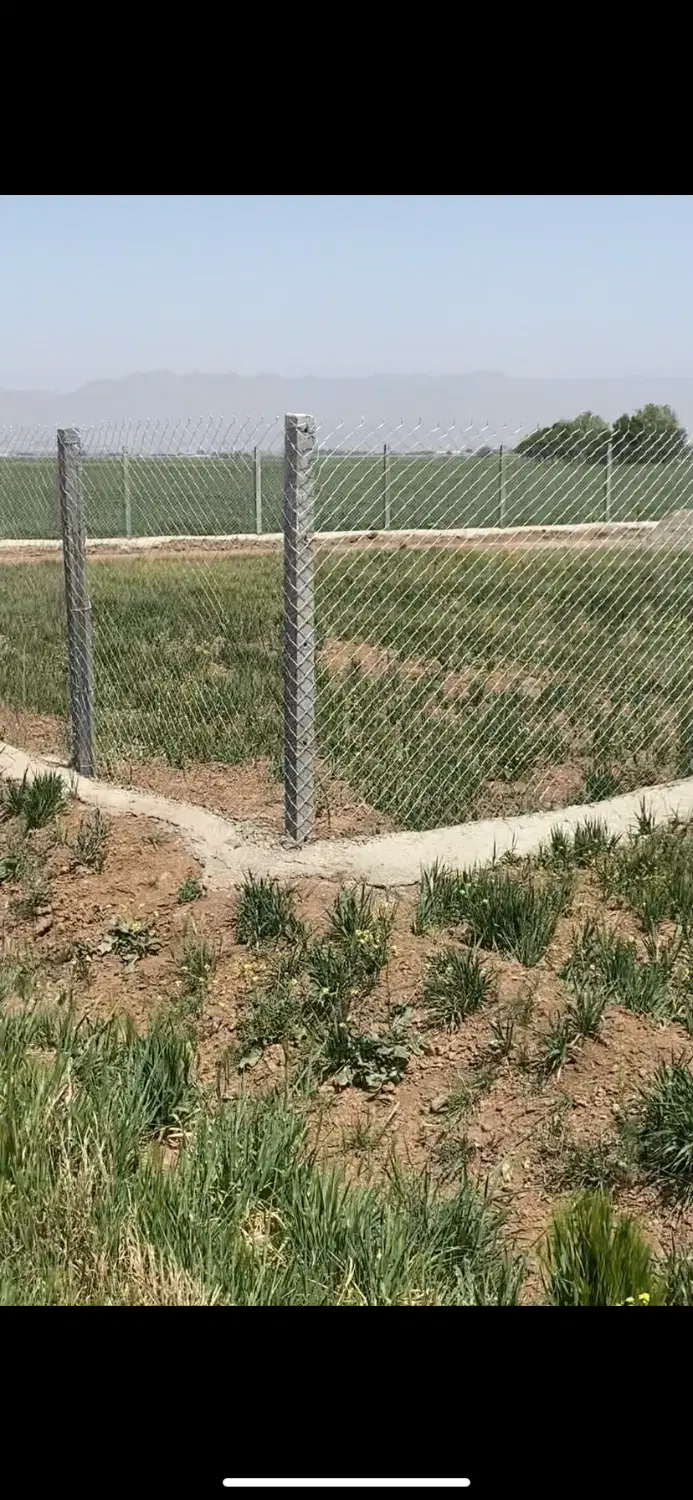 ۵۰۰ متر زمین_باغی زراعی_نظرآباد