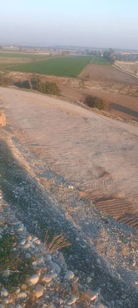 زمین باغی