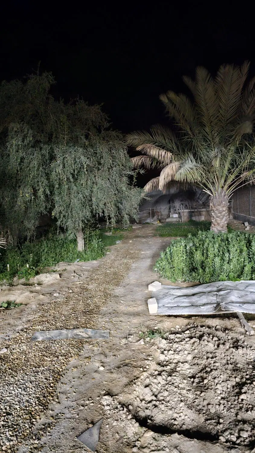 روستا