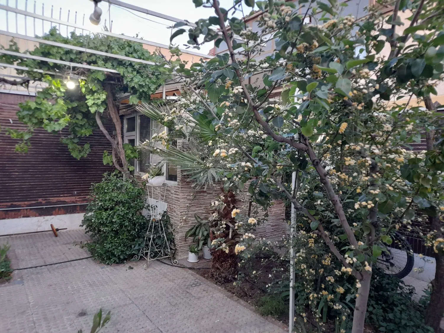 ویلایی ۱۸۰ متری جنوبی
