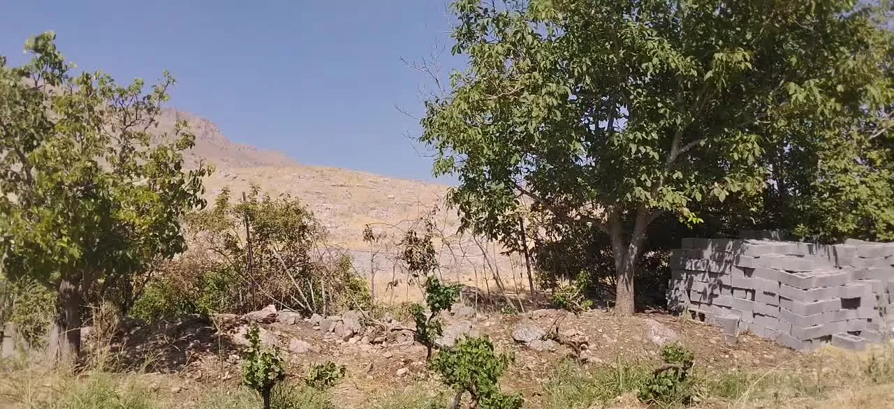 باغ 1500متری سراب بید سرخ صحنه