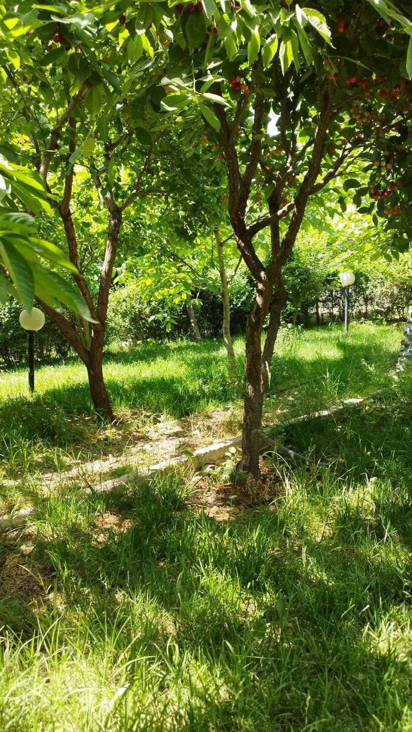 باغ ویلای ۹۸۰ دو کله بر نمیر