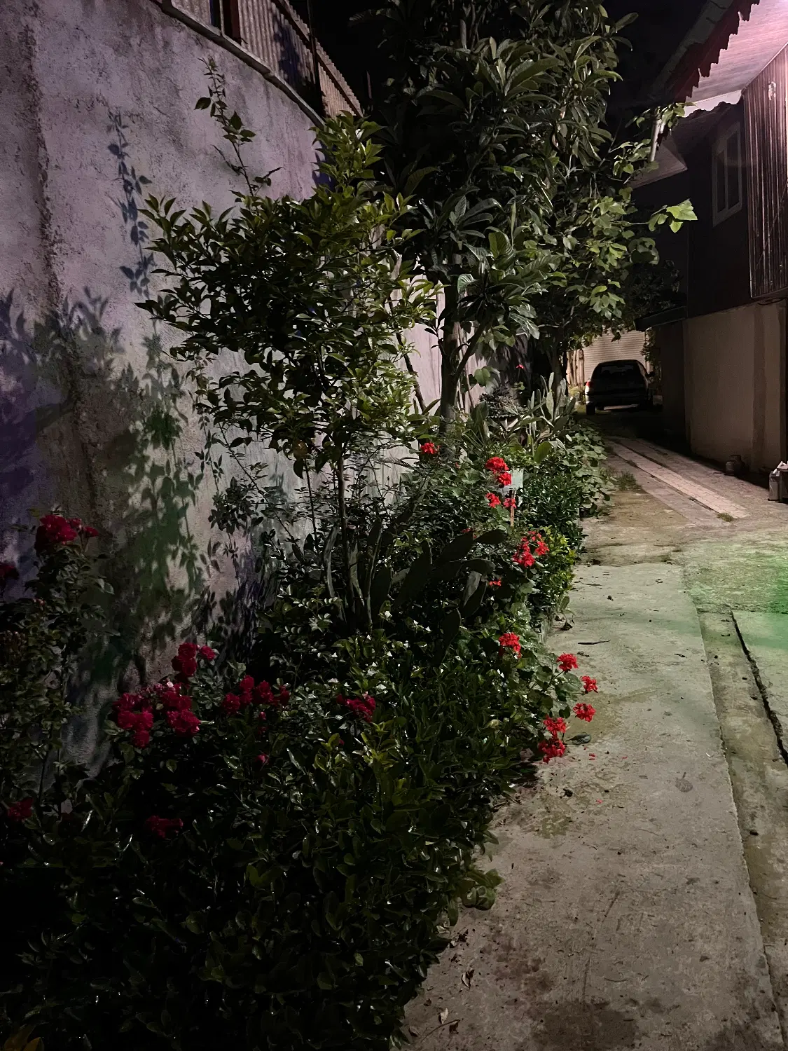 فروش  خونه باغ سند تک برگ