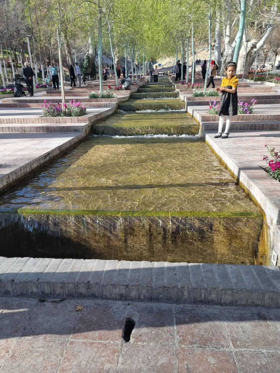 کافی شاپ بانوان