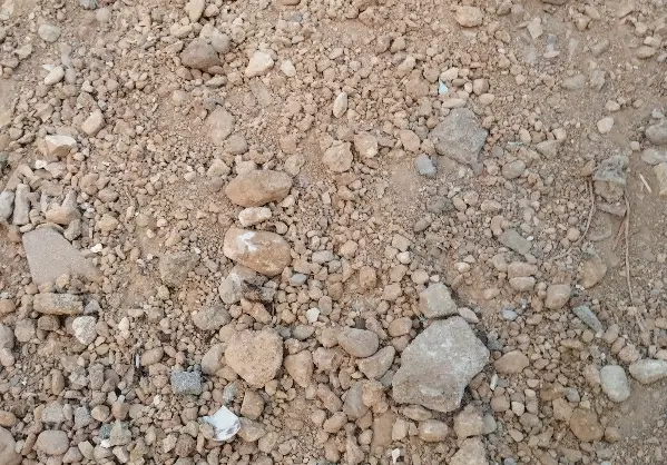 فروش زمین