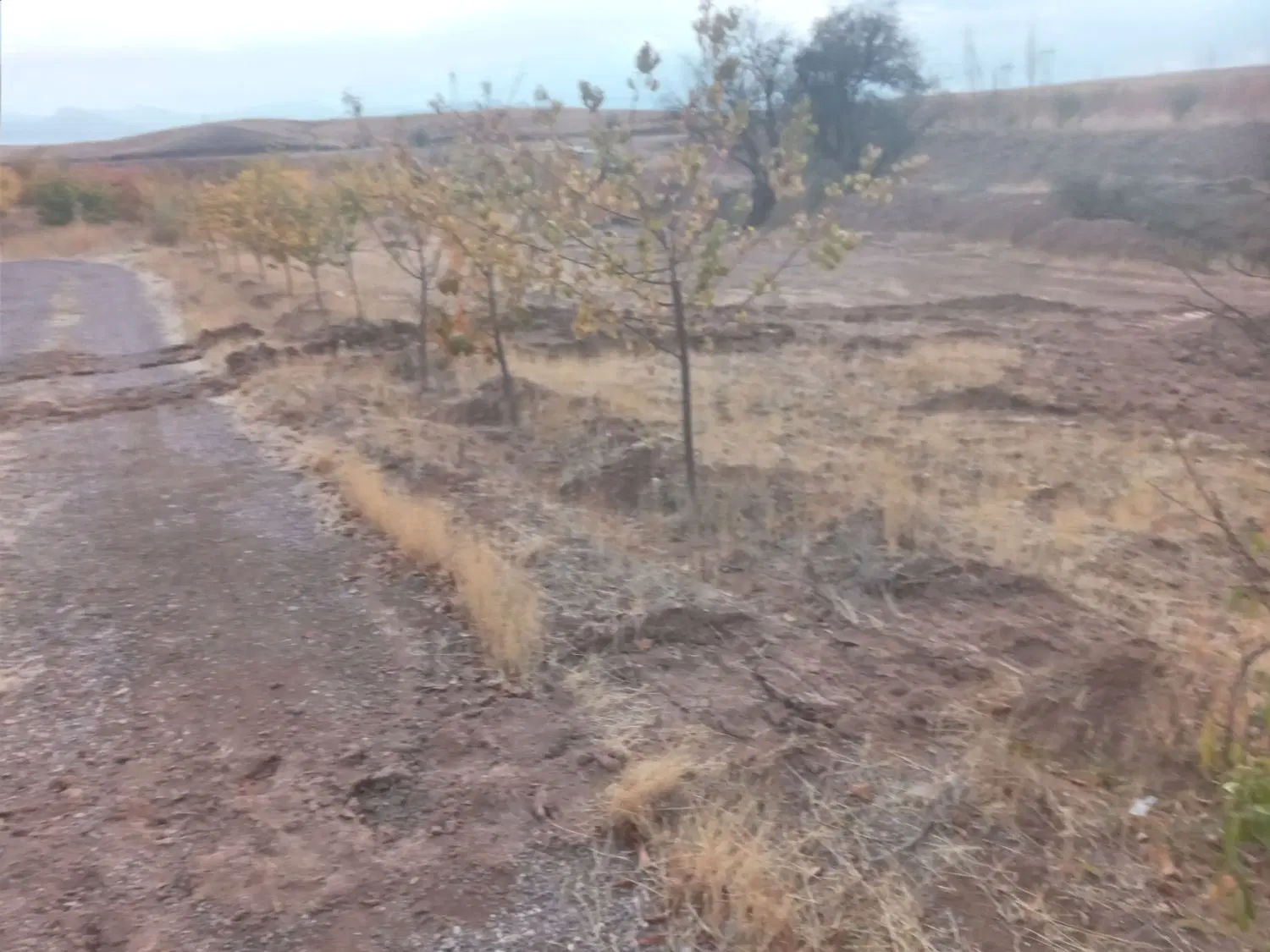 زمین کشاورزی