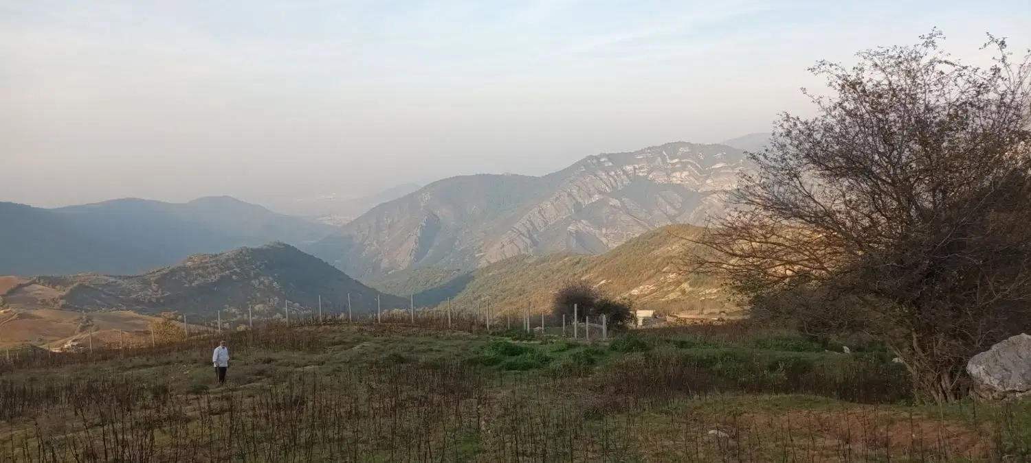زمین فروشی