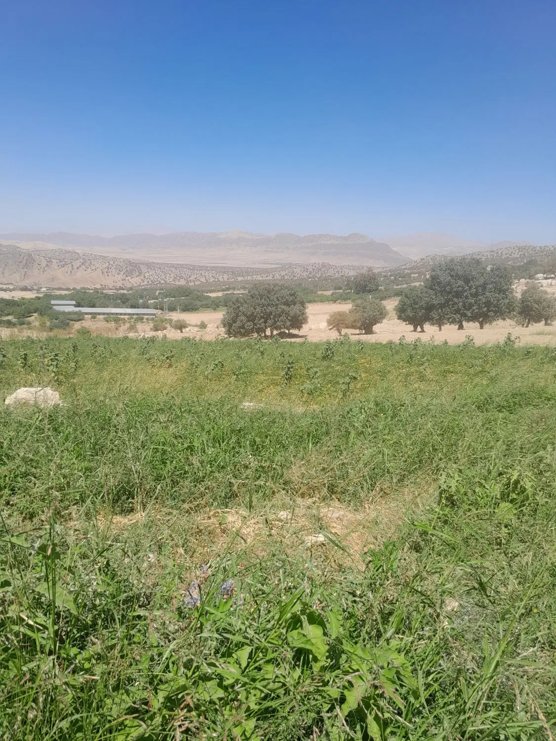 زمینم به متراژ ۴ هزار متر میاشد