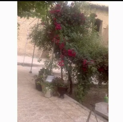 ملک کلنگی در بندر شرفخانه