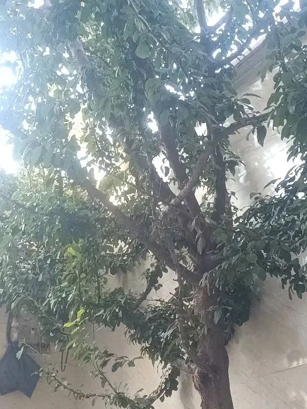 فروش مغازه وکاراژ