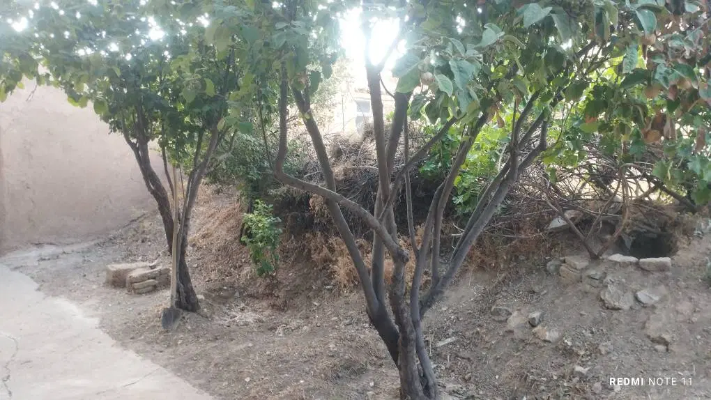 فروش خانه کلنگی در روستای فارسینج