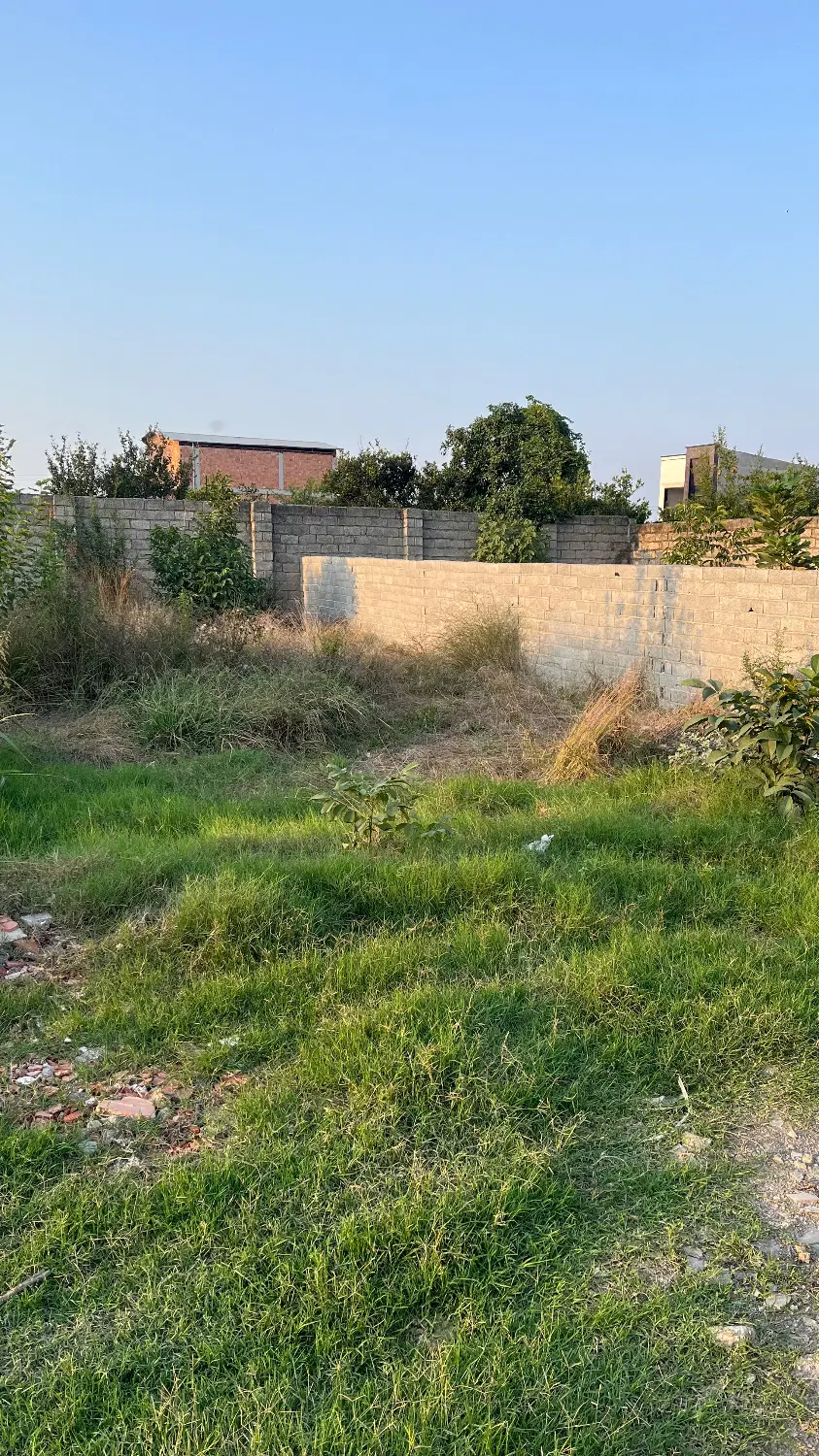 زمین