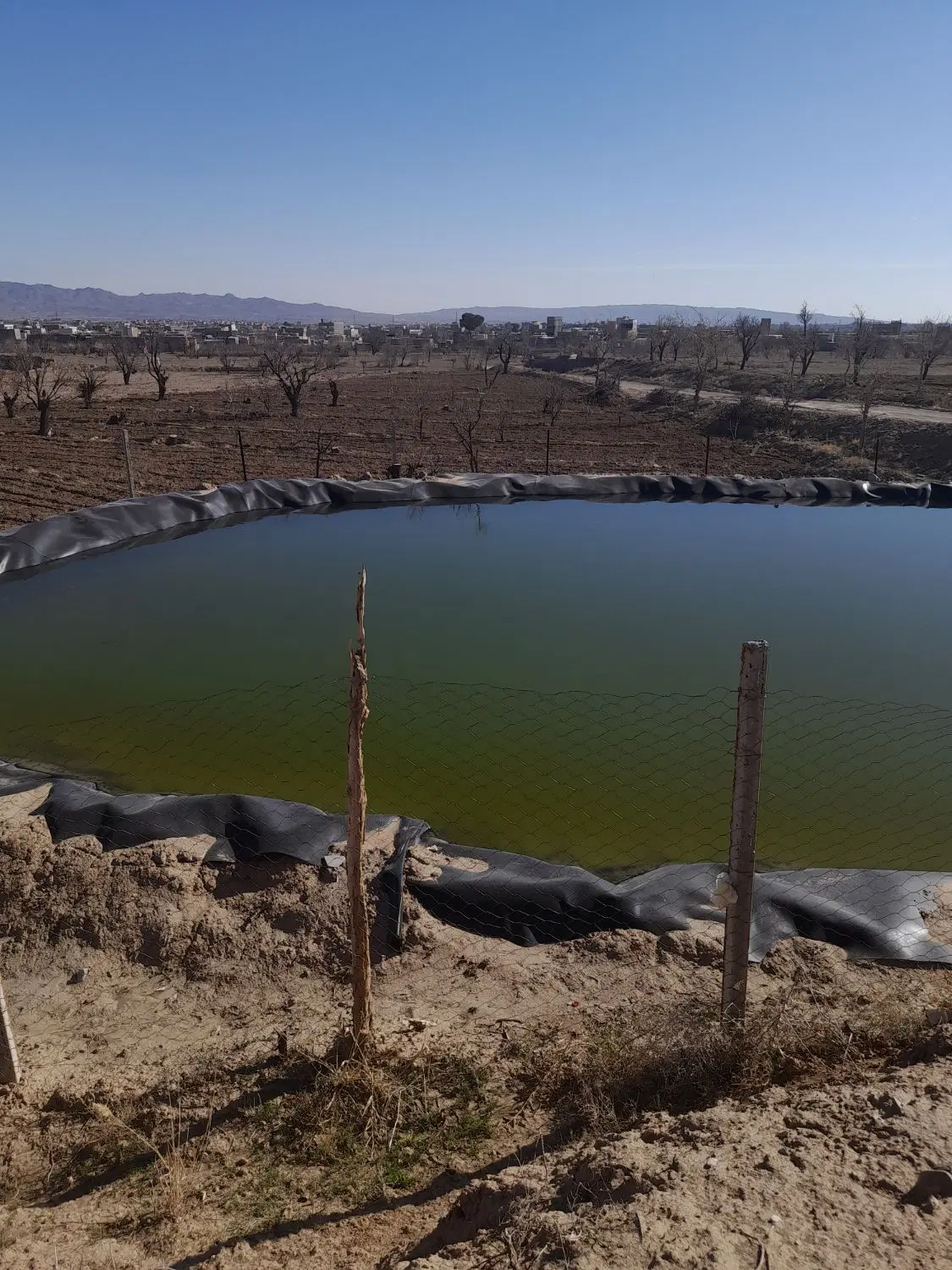 زمین زراعتی در محدوده بیمارستان امام حسین  تربت