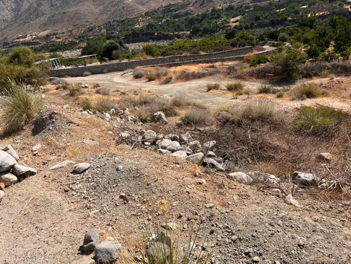 زمین کشاورزی