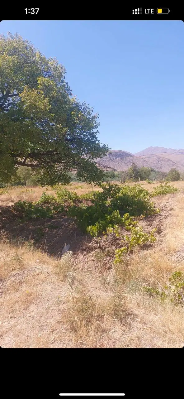 زمین ۱۰۰۰ متری روستای فر
