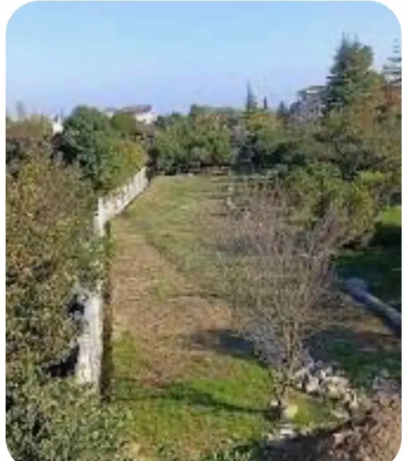 زمین