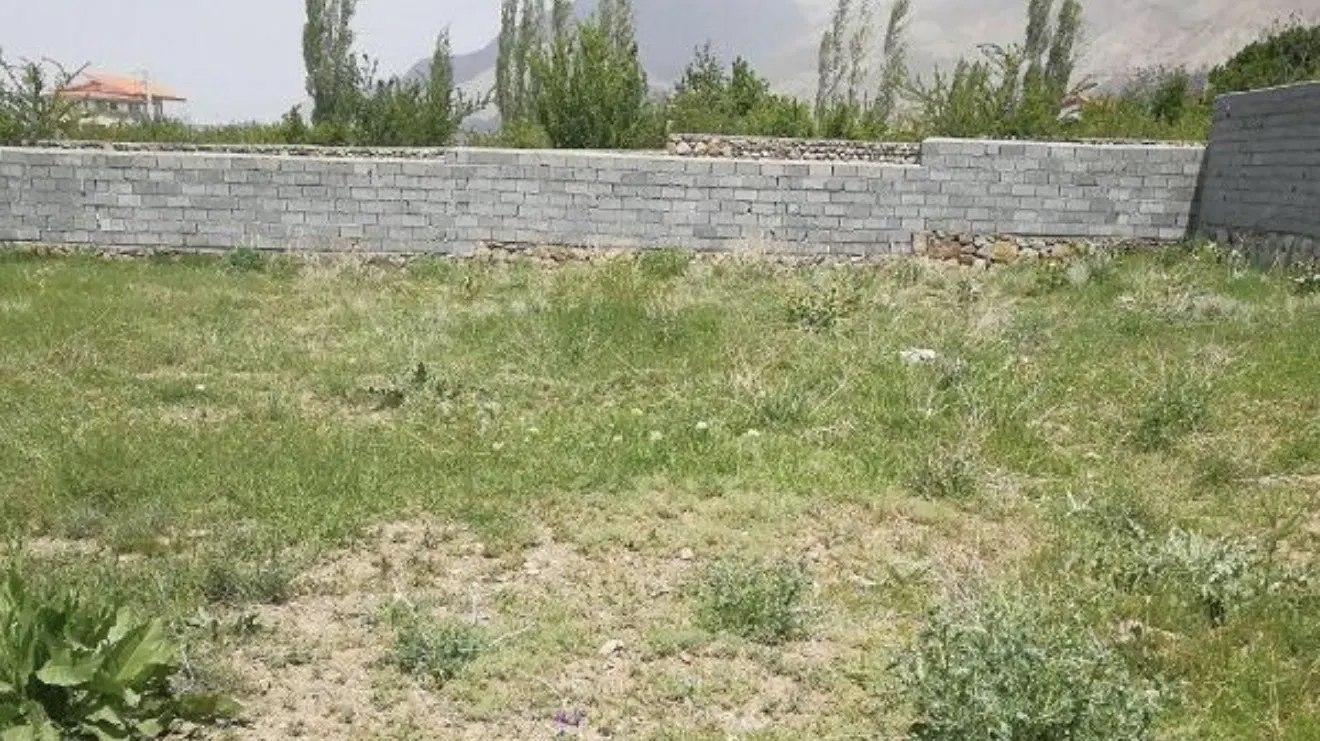 زمین با کاربری زراعی