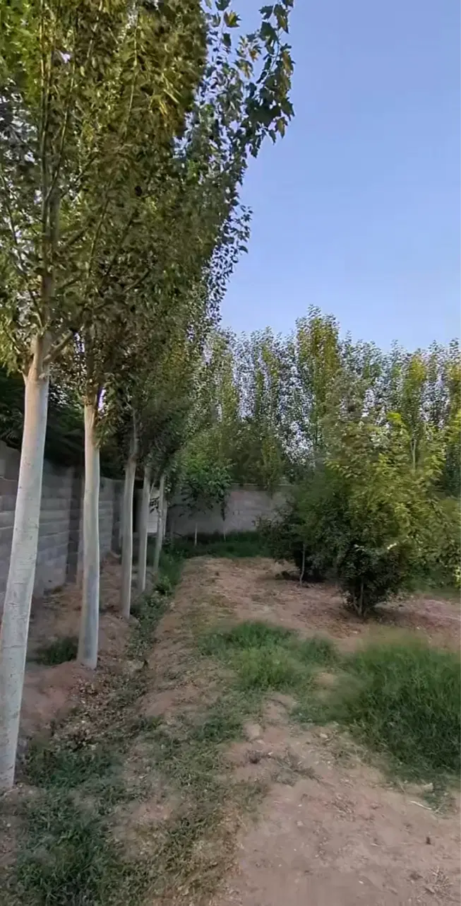 ۶۲۰ متر چهاردیواری  احمدابادمستوفی