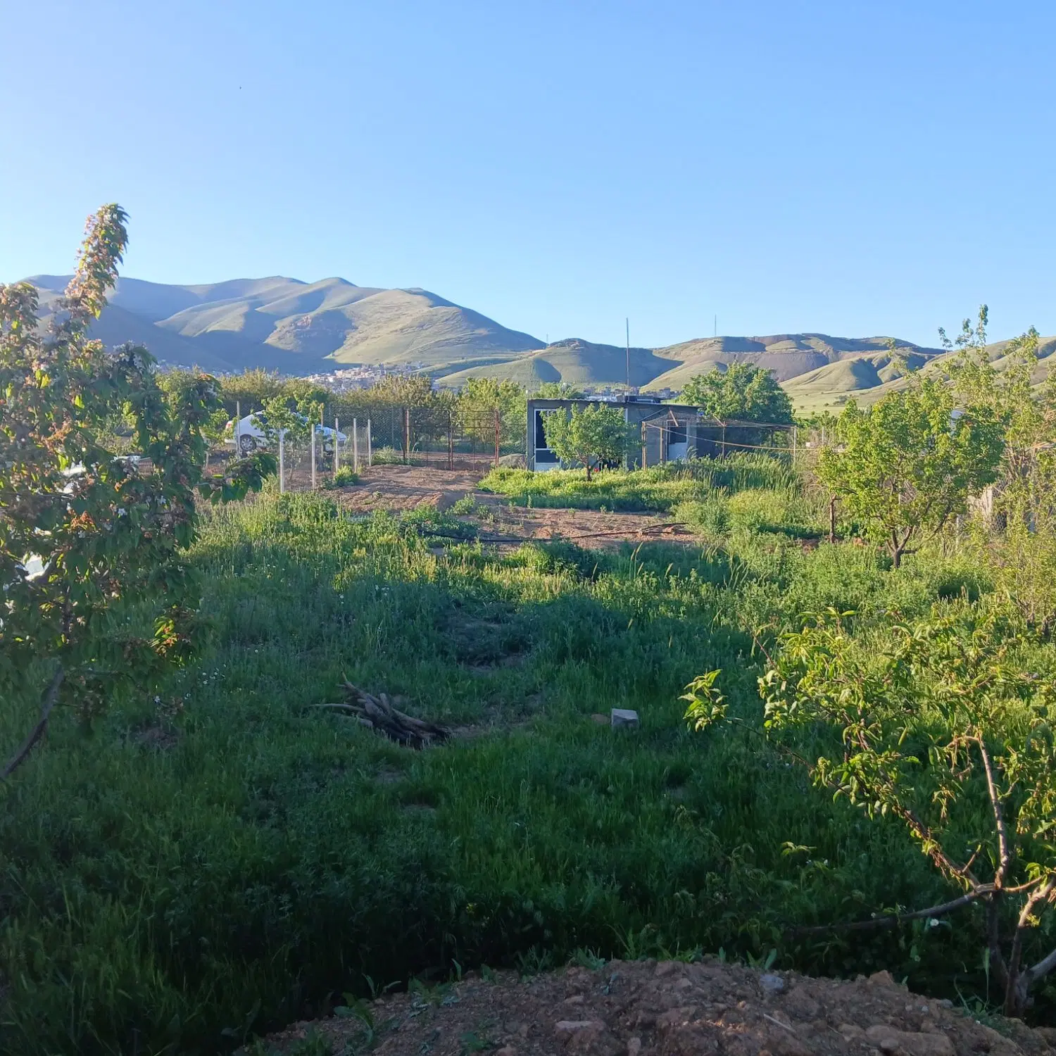 باغ نرسیده ب مرغداری خشکه دول