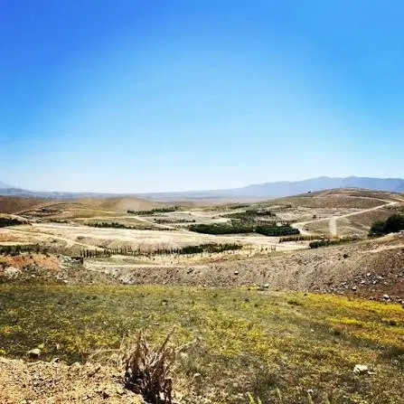 زمین فاز شش اصطلک