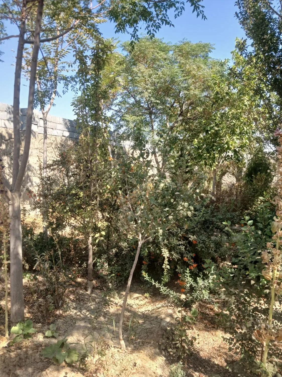 پلاک ۵۰۰ متری با اب و برق سند آماده و درجا انتقال