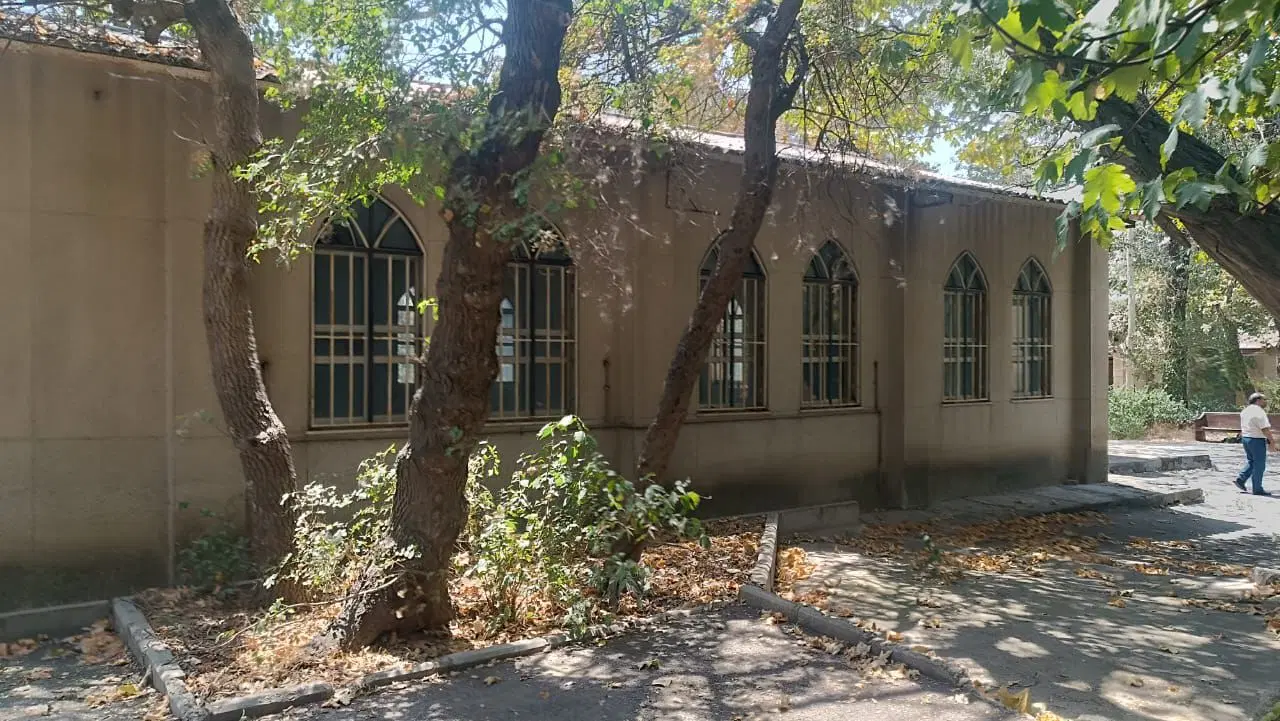 کلنگی زیر قیمت (سازنده شمیران شوید )